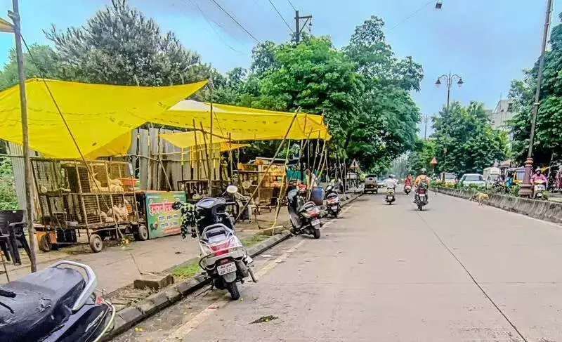 Nagpur Airport Bird Hazard: Roadside Meat Market Sparks Election Row