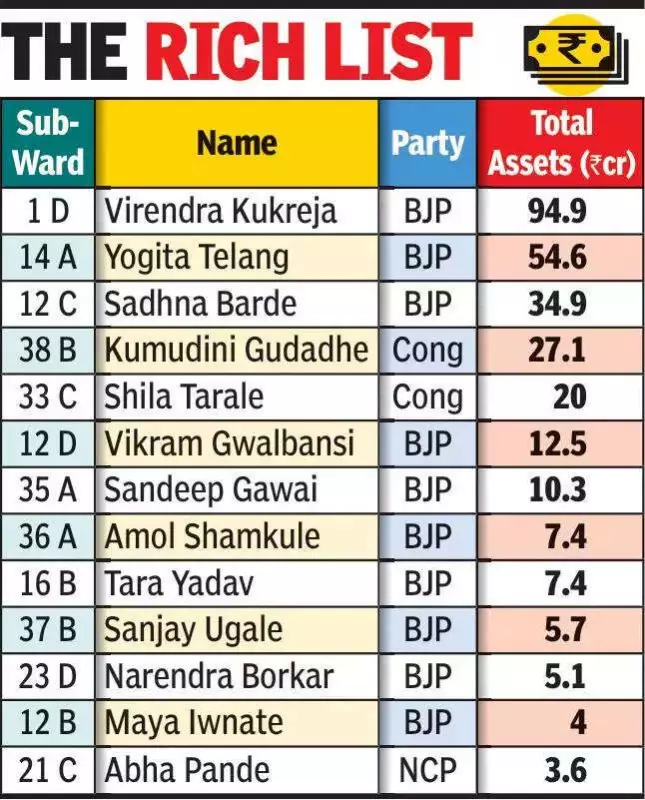 Nagpur's New Civic Body: BJP Corporators Dominate Wealth Rankings