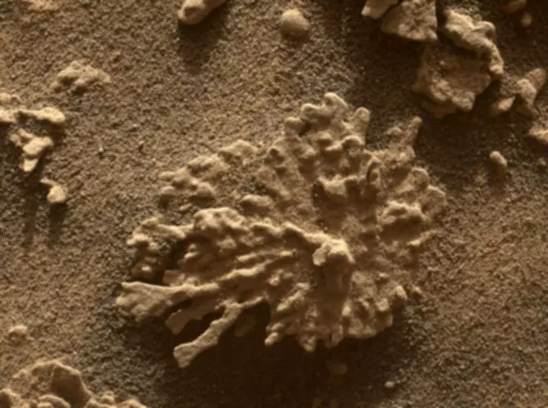 NASA's Curiosity Rover Spots Coral-Like Rock Formation on Mars Surface