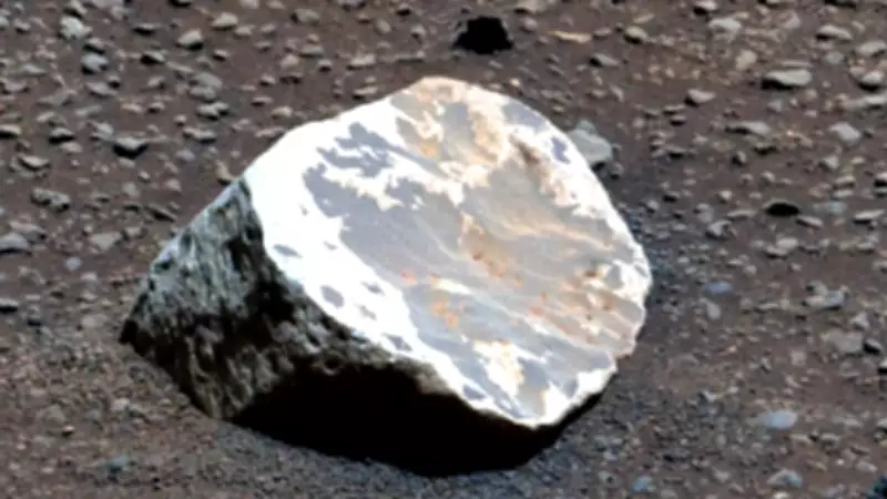 NASA's Perseverance Rover Discovers White Kaolinite Rocks on Mars, Hinting at Ancient Rainfall