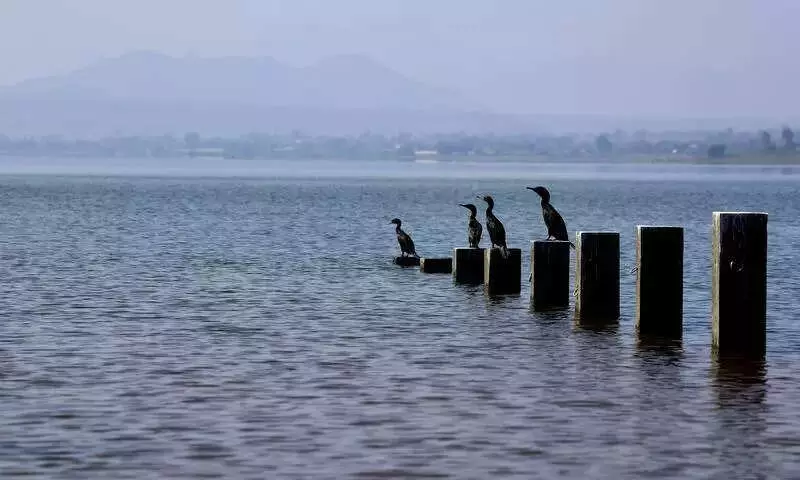 Nashik Air Show Draws 15,000 Bookings, SKAT to Perform at Gangapur Dam