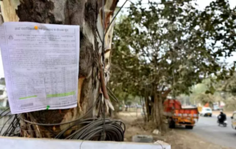 Nashik Civic Body Proposes Tree Cutting for Road Widening Ahead of 2027 Kumbh Mela