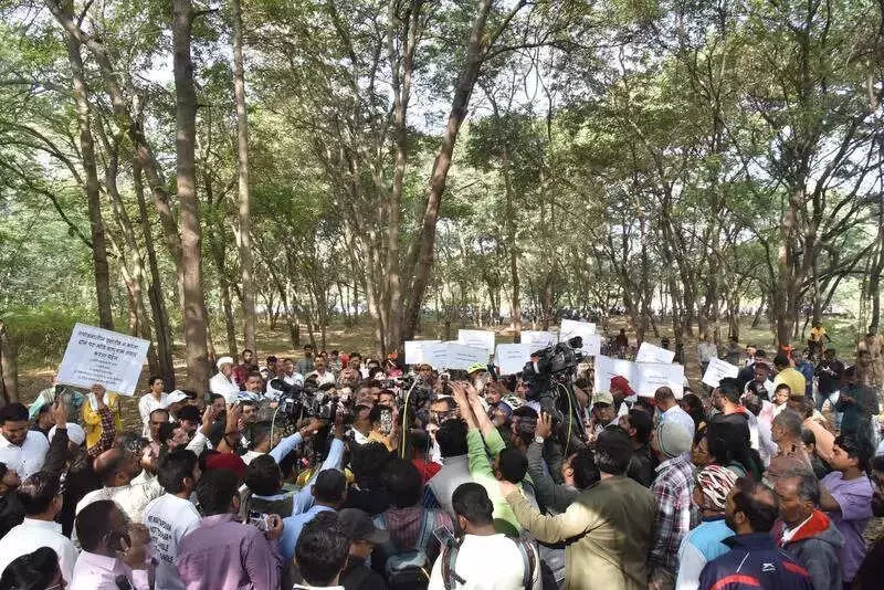 Nashik's Tapovan Tree Campaign Fails to Sway Voters as BJP Sweeps Corporation Polls