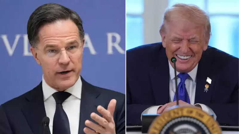 NATO Seeks Arctic Unity Amid Trump's Greenland Ambitions