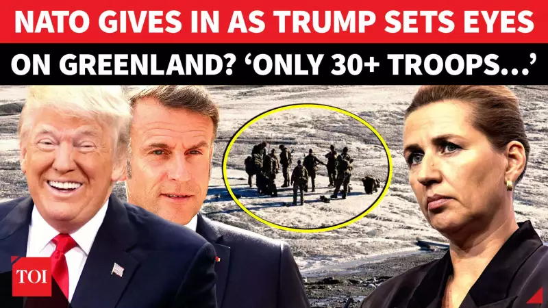 NATO Sends Token Force to Greenland as Trump Renews Purchase Push