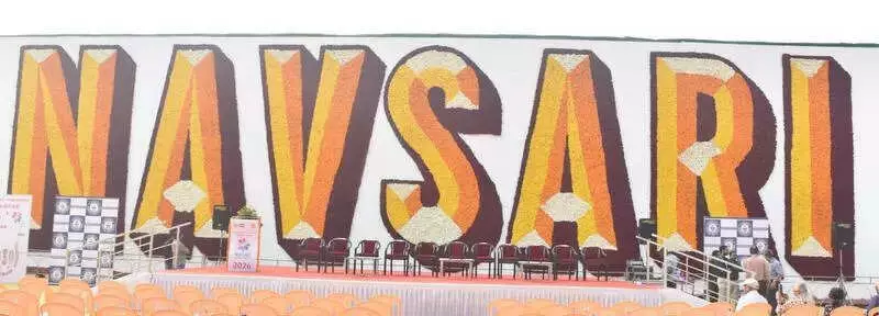 Navsari Creates Guinness Record with 95,000-Flower Wall at First Flower Show