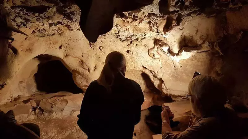 Neanderthal Cave Art Discovery in France Rewrites Human Cognitive History