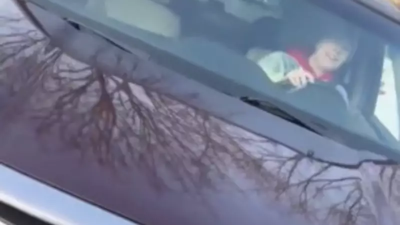 New Video in ICE Agent Shooting of Renee Good Sparks Internet Divide