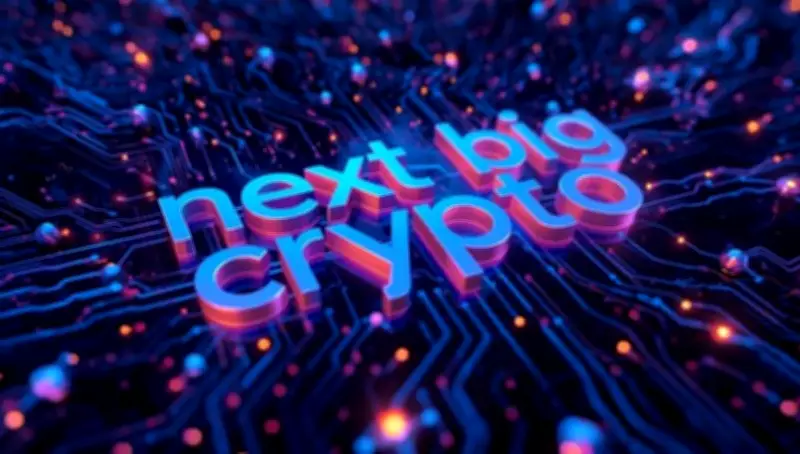 Next Big Crypto: Market Discussions Overview & Future Predictions