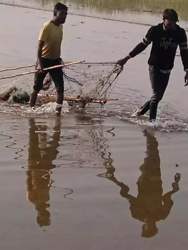 NGT Directs Wildlife Team to Remove Illegal Nets at Gurgaon's Kotla Lake