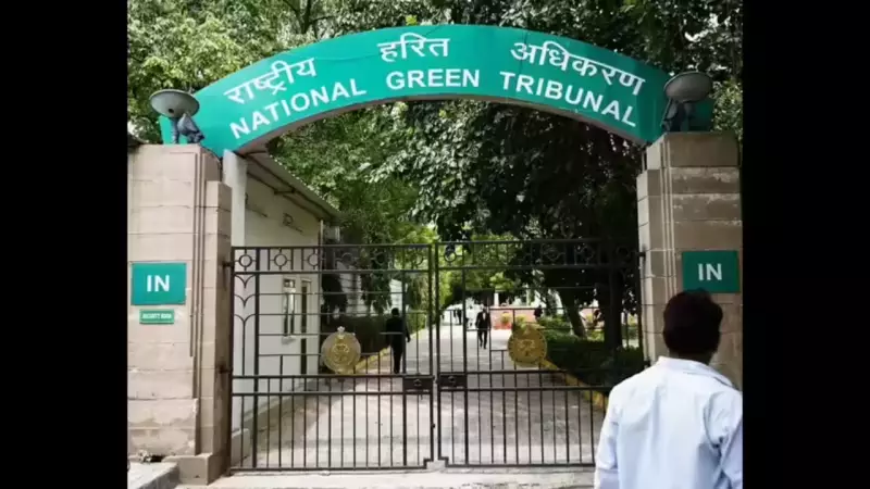 NGT Questions Felling of 8,700 Trees for Bhopal Road Widening