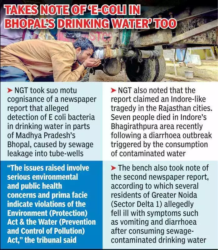 NGT Seeks CPCB Response on Sewage-Contaminated Water in MP, Rajasthan, UP Cities