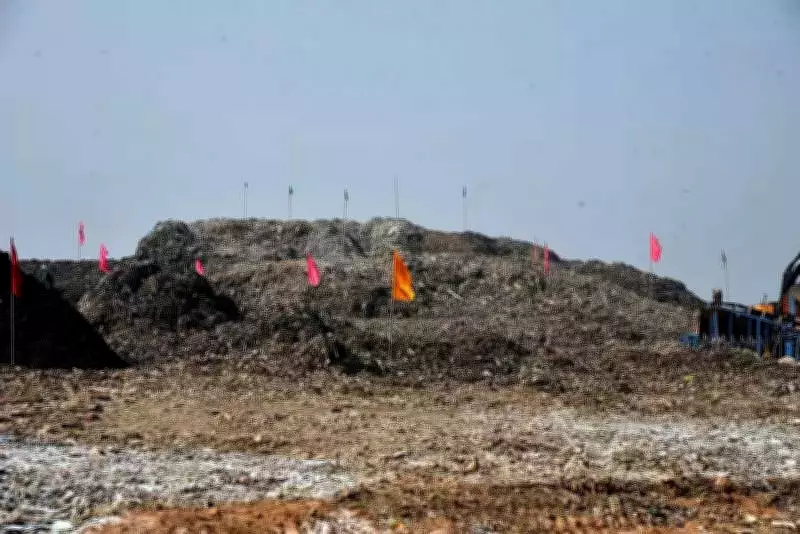 NGT Slams Punjab Authorities Over Illegal Waste Dumping in Patiala