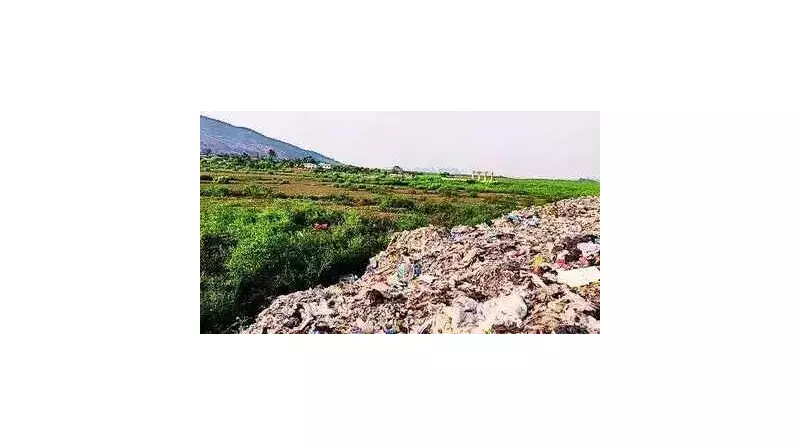 NGT Slaps Notices on NHAI, Contractor for Illegal Muck-Dumping in Himachal's Beas River