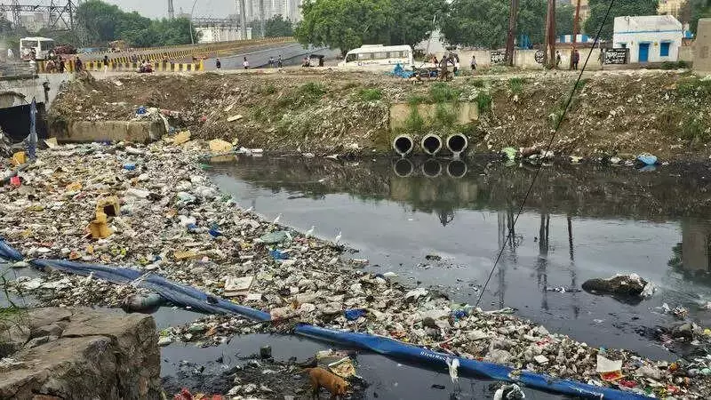NGT Takes Action on Water Contamination in Three States After Media Reports