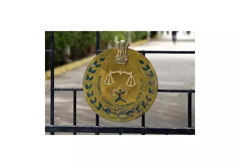 NGT Takes Suo Motu Cognisance of Noida CEO Removal After Engineer's Death in Waterlogged Pit