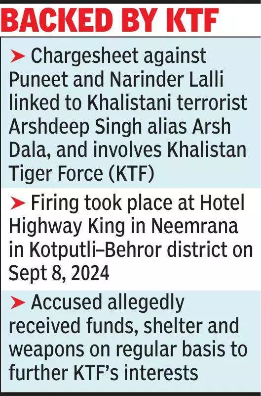 NIA Chargesheets Punjab Shooters in Neemrana Hotel Firing, Links to Arsh Dala