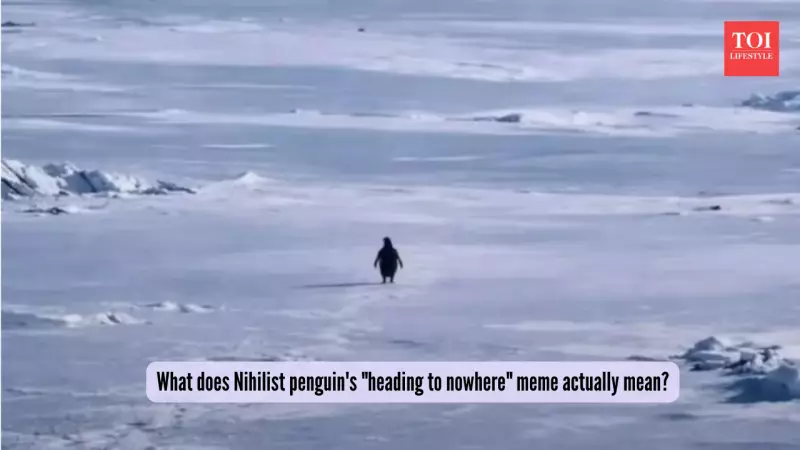 Nihilist Penguin Meme Goes Viral: The Real Story Behind the Existential Bird