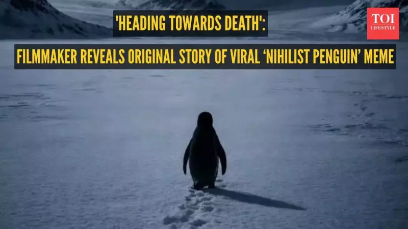 Nihilist Penguin Meme: The Viral Story Behind the Lonely Antarctic Wanderer