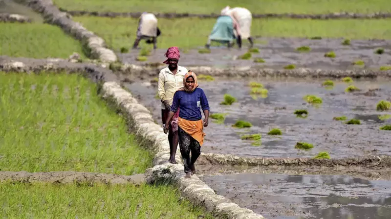 Nine Agriculture Leaders Including Rice Scientist Ashok Kumar Singh Receive Padma Shri