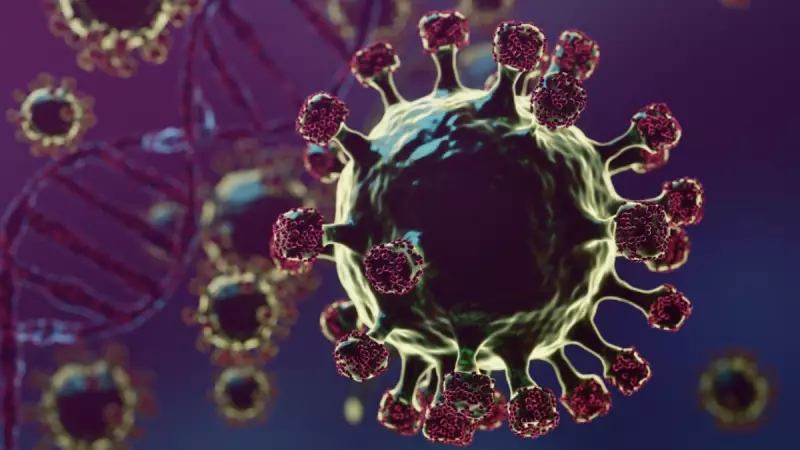 Nipah Virus Outbreak: Symptoms, Transmission, and Prevention Measures in India