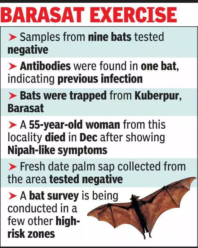 Nipah Virus Sero-Surveillance in Kolkata: Antibodies Found in Bat, No Active Infection