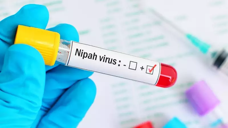 Nipah Virus: Two Nurses Shifted to Kolkata Hospital, Condition Critical