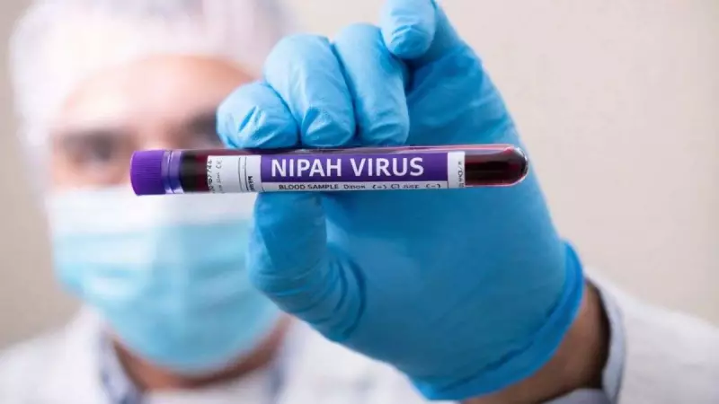 Nipah Virus vs. Other Viral Infections: Key Differences Explained