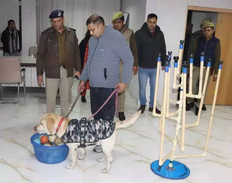 Noida Schools Face Bomb Threat Hoax, Security Heightened Ahead of Republic Day