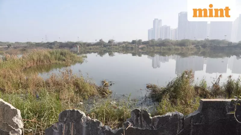 Noida Techie Drowns in Water-Filled Ditch; Eyewitnesses Blame Slow Rescue