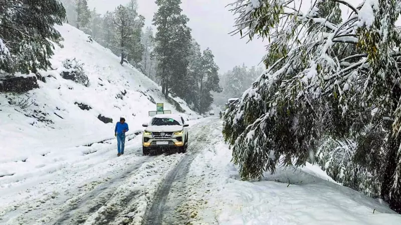 North India Gripped by Intense Cold Wave: Sonamarg at -8.9°C, Fog Causes Deadly Pile-Up