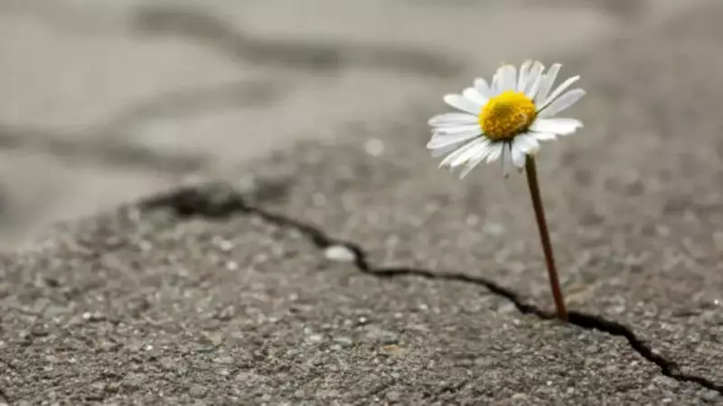 Numerology Reveals 4 Most Resilient Birth Dates: Born to Overcome