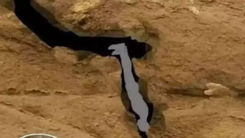 Nutty Putty Cave Tragedy: The Harrowing Final Hours of John Edward Jones