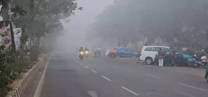 Odisha Braces for 2-4°C Temperature Drop, Dense Fog Alert Till Jan 7
