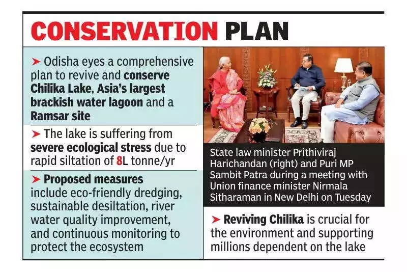 Odisha Seeks Central Aid to Revive Chilika Lake, IIT Madras Flags Silt Crisis