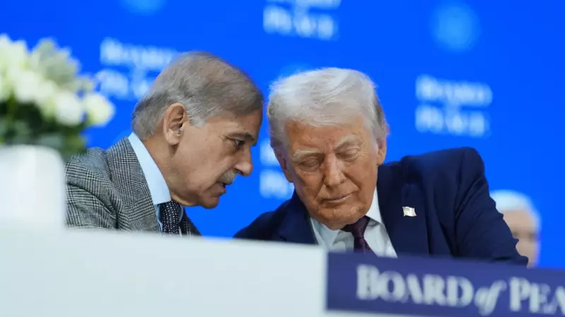 Pakistan Backs Trump's Gaza 'Board of Peace' at Davos, Contrasting India's Absence