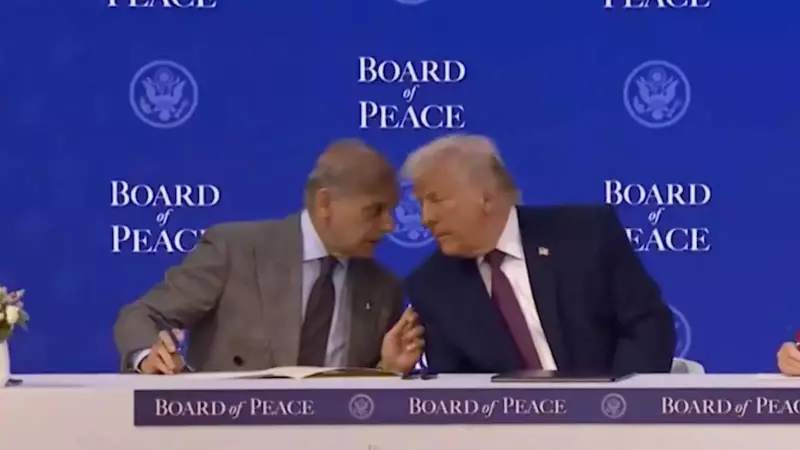 Pakistan PM Shehbaz Sharif's Gaza Plan U-Turn Sparks Political Firestorm