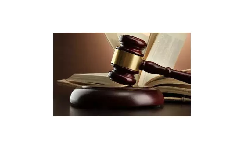 Panaji Court Alters Charges in Paragliding Death Case, Discharges Hike n Fly Owner from Culpable Homicide