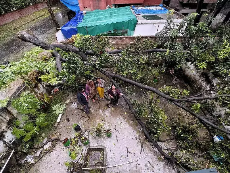 Panchkula Reels Under Storm Fury: 9-Hour Power Outage, Water Crisis Hits City