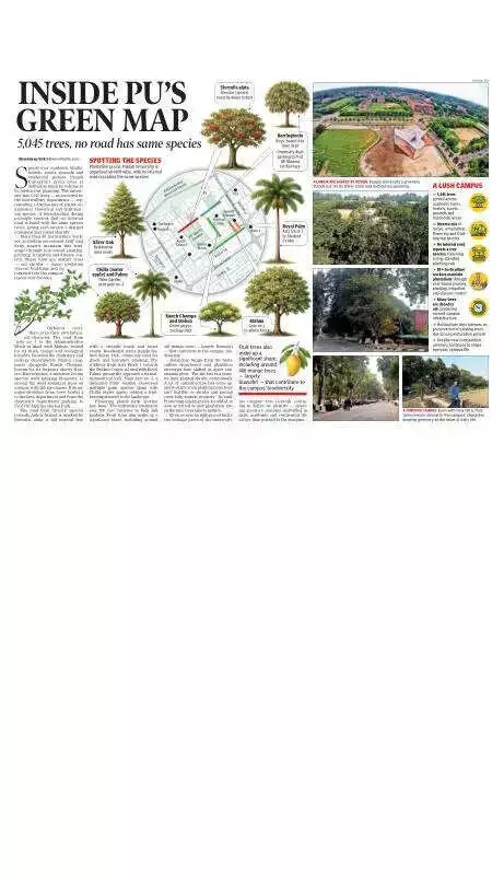 Panjab University's 5,045 Trees: A Botanical Masterpiece in Chandigarh