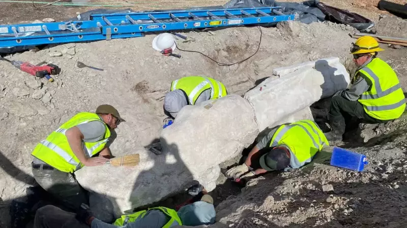 Parking Lot Renovation Uncovers Diplodocus Fossils at Dinosaur National Monument