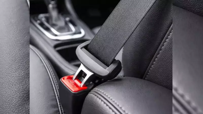 Pathanamthitta Collector Credits Seat Belt for Saving Life in Terrifying Car Crash