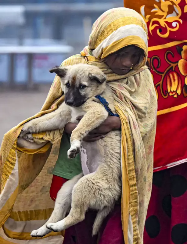 Patna Cold Wave Triggers Health Crisis: Hospitals See Surge in Heart, Brain Cases