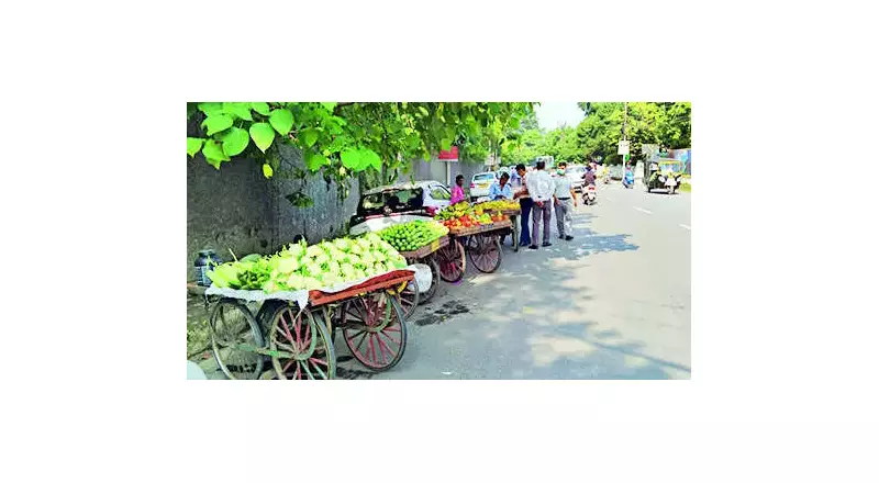 Patna Municipal Corporation Plans 31 New RCC Vending Zones at Rs200 Crore