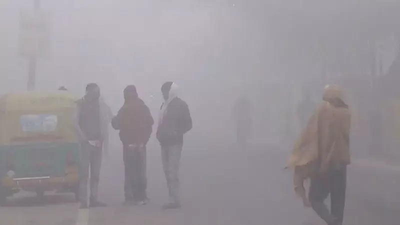 PAU Expert Warns of Harsher Winter, Frost Threat to Punjab Crops