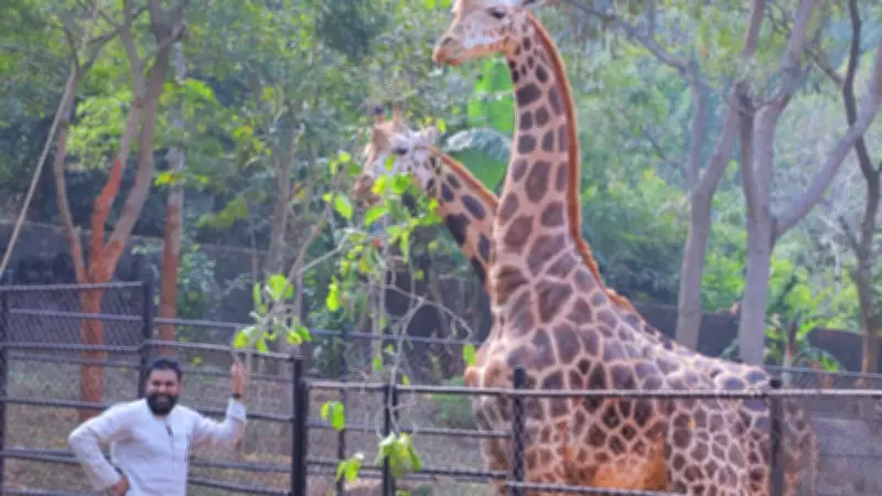 Pawan Kalyan Adopts Giraffes for Mother's Birthday at Vizag Zoo