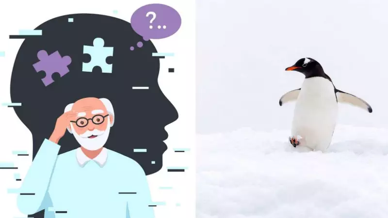Penguin Virus Linked to Alzheimer's: New Study Reveals Potential Human Transmission