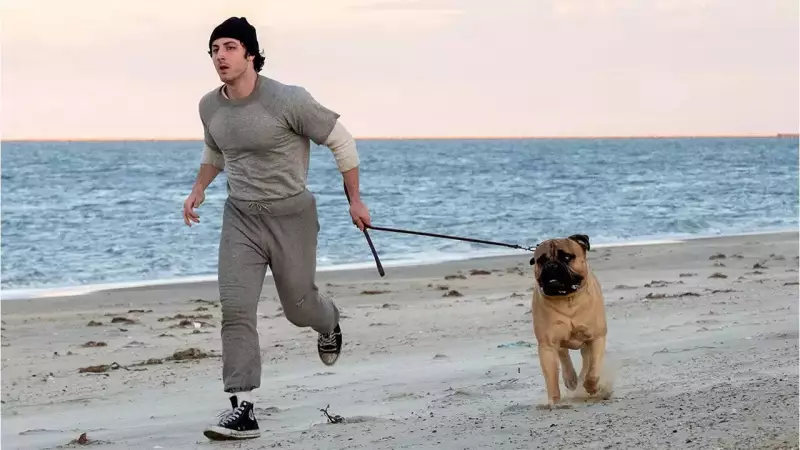 Peter Farrelly's 'I Play Rocky' Set for Thanksgiving 2026 Release, Marking 50th Anniversary