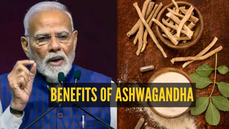 PM Modi Highlights Ashwagandha's Global Rise: 4 Simple Ways to Add This Ayurvedic Herb to Your Diet
