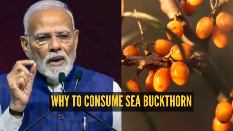 PM Modi Recommends Sea Buckthorn: Himalayan Superfruit with 5 Easy Daily Uses